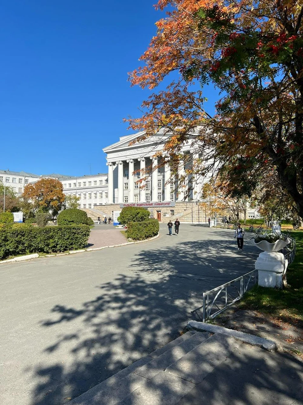 Найди свое дело